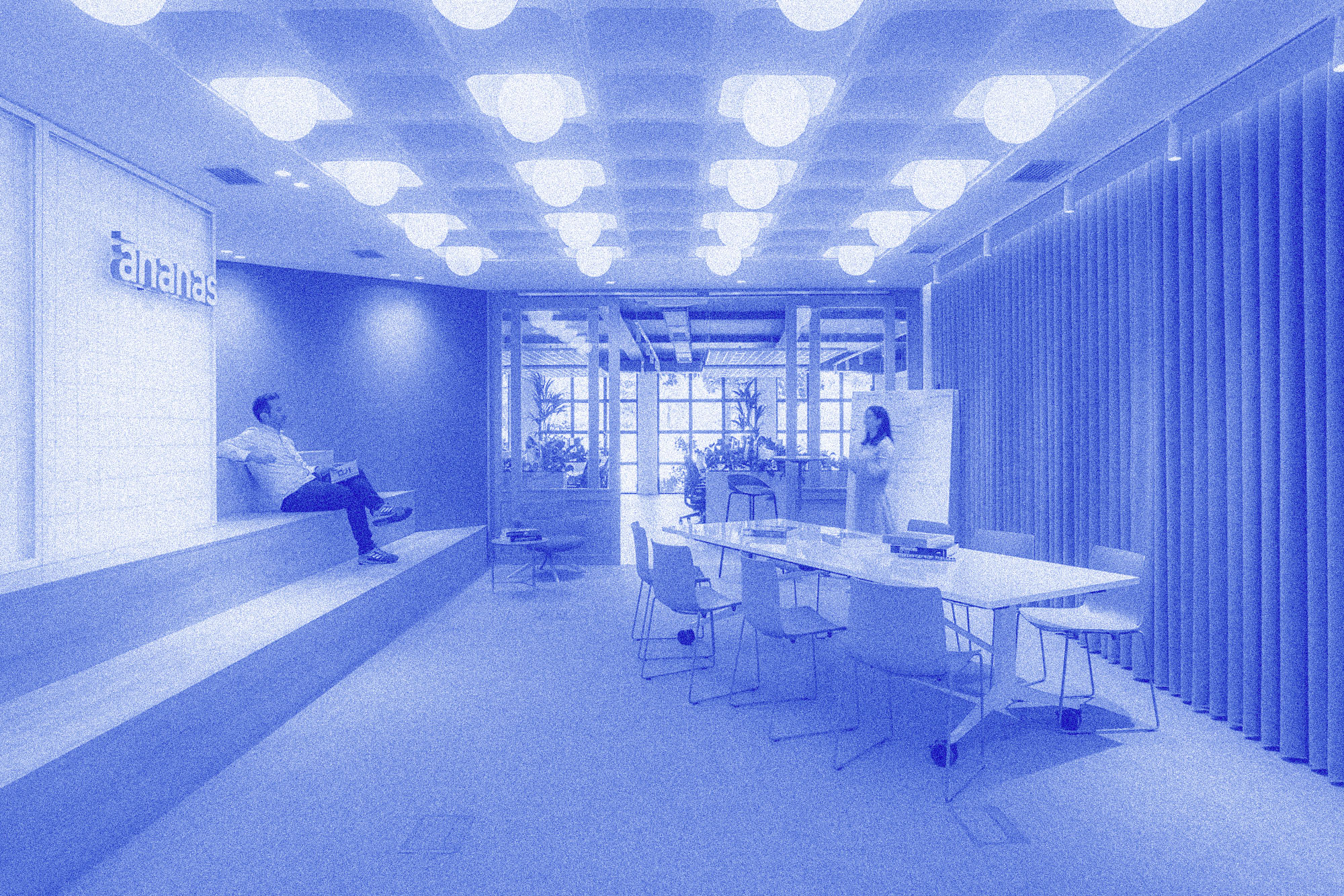 Ananas Office